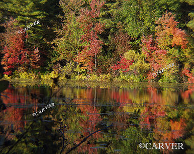 Main St. Scene
Fall colors reflect from a small pond in West Boxford, MA.
Keywords: foliage; pond; reflection; Boxford; photograph; picture; print